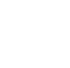 Discord Bot